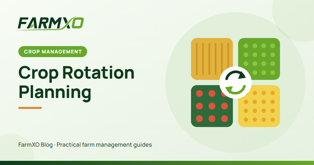 Crop Rotation Planning: A Practical Guide for Healthier Soil and Higher Yields