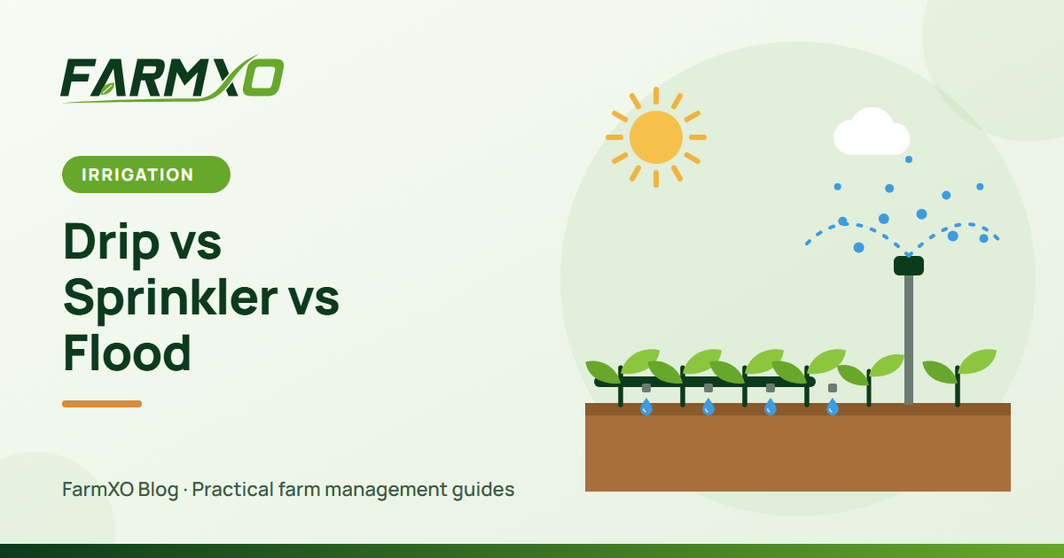 Drip vs Sprinkler vs Flood Irrigation: Which System Is Right for Your Farm?