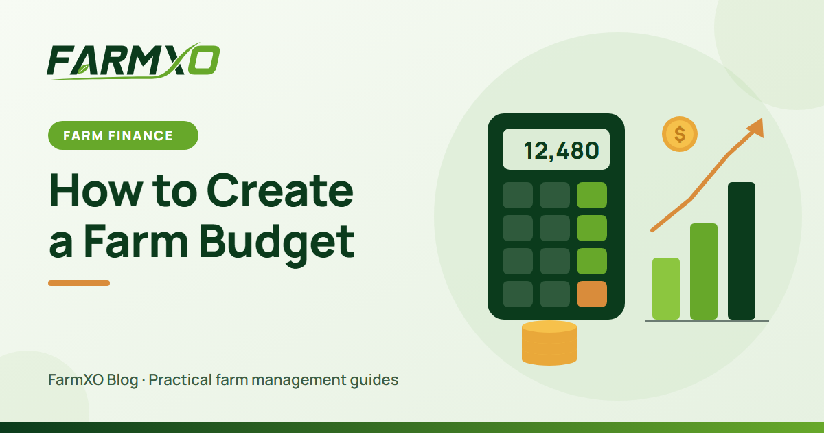 How to Create a Farm Budget: A Step-by-Step Guide