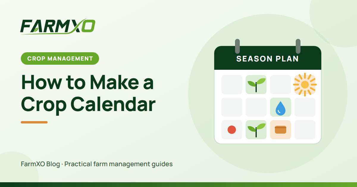 How to Make a Crop Calendar: Kharif, Rabi and Zaid Seasons Explained