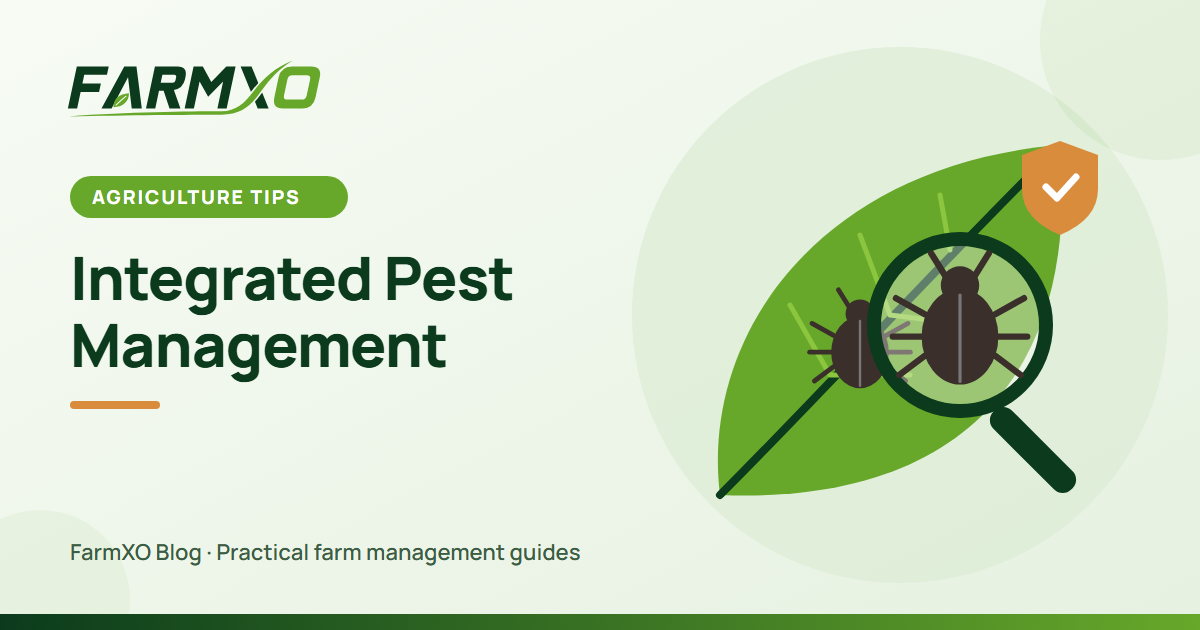 Integrated Pest Management (IPM): A Practical Guide for Farmers