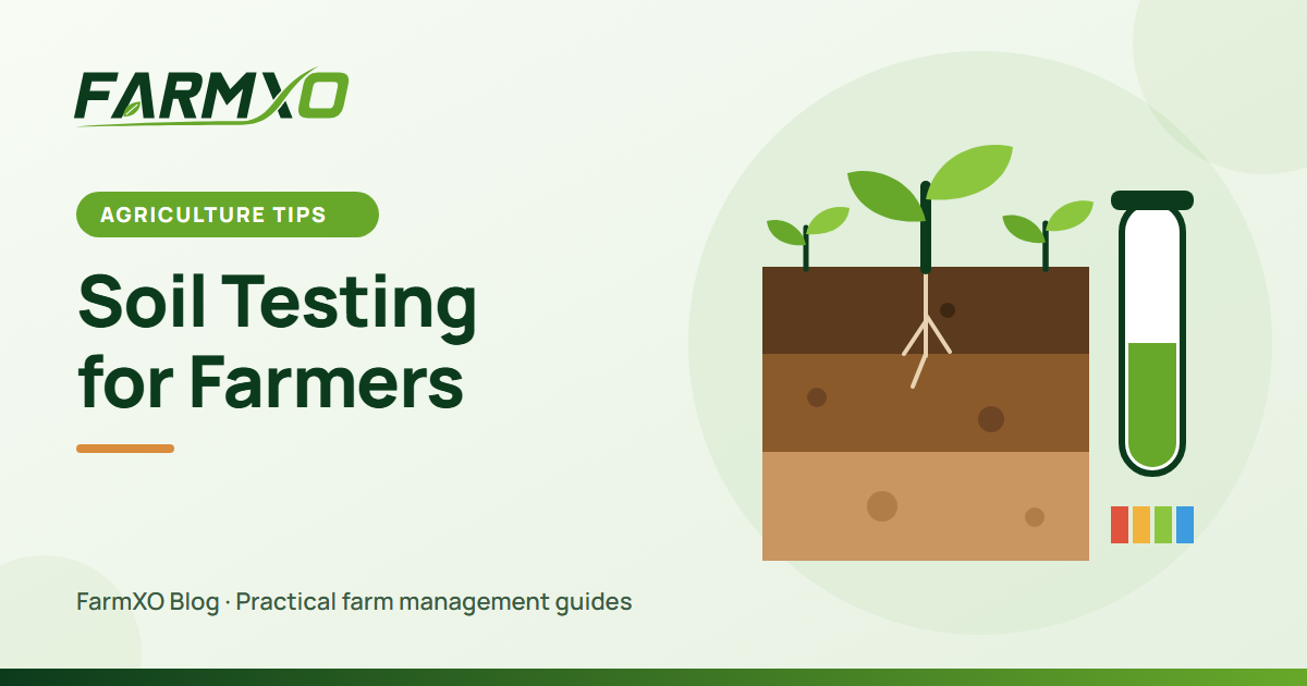 Soil Testing for Farmers: How to Take Samples and Read Your Report